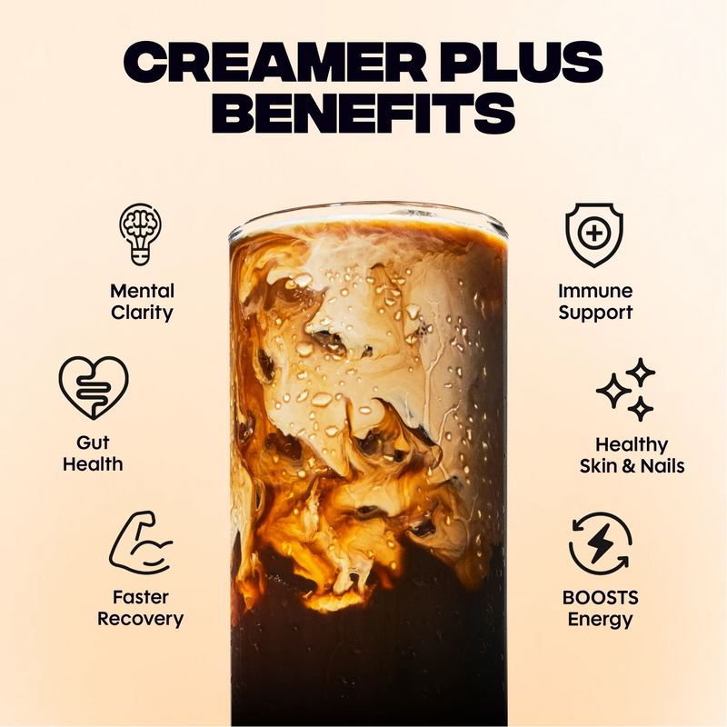 Vanilla Creamer+ (10 Servings) - Cozy Blend