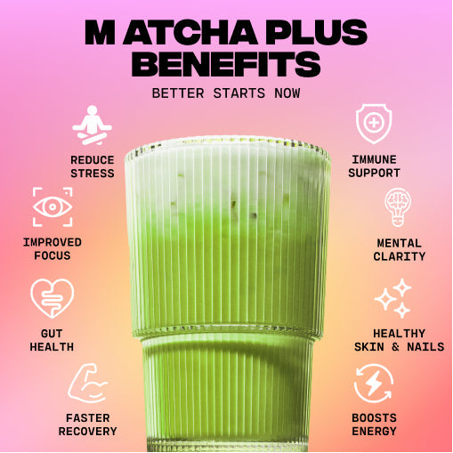 Matcha+ Starter Kit (30 Servings) - Essential Use